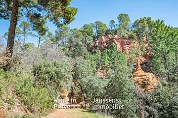 A picture of a forest with the words made in provence by immobilier