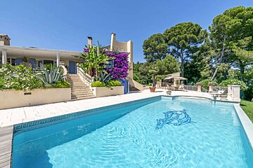 A large swimming pool with a dolphin design on it