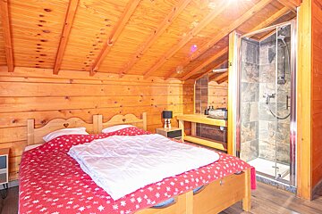 A bedroom with two beds and a walk in shower