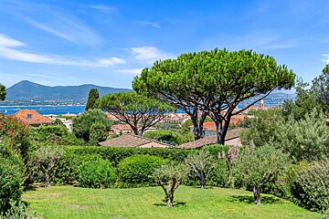 Vibrant garden with a bay view, red-roofed town, distant mountains, and prominent pine trees under a clear blue sky.