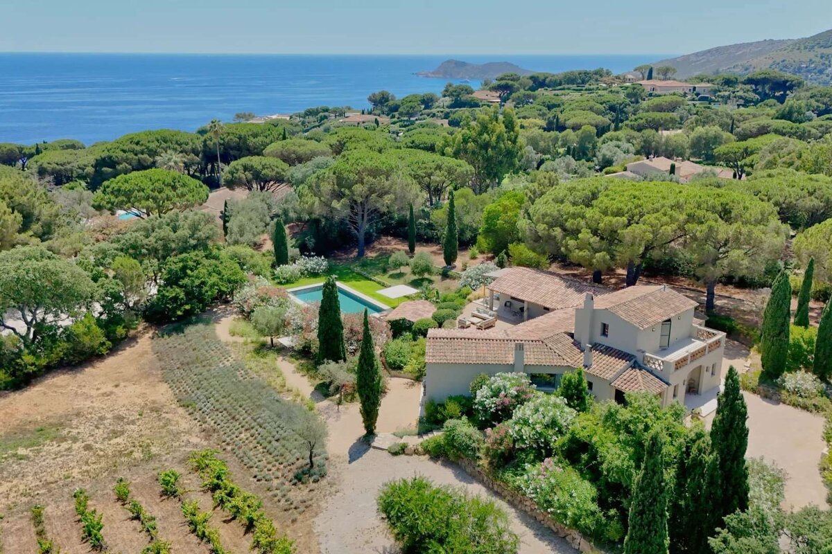 An aerial view of a house surrounded by trees and a pool