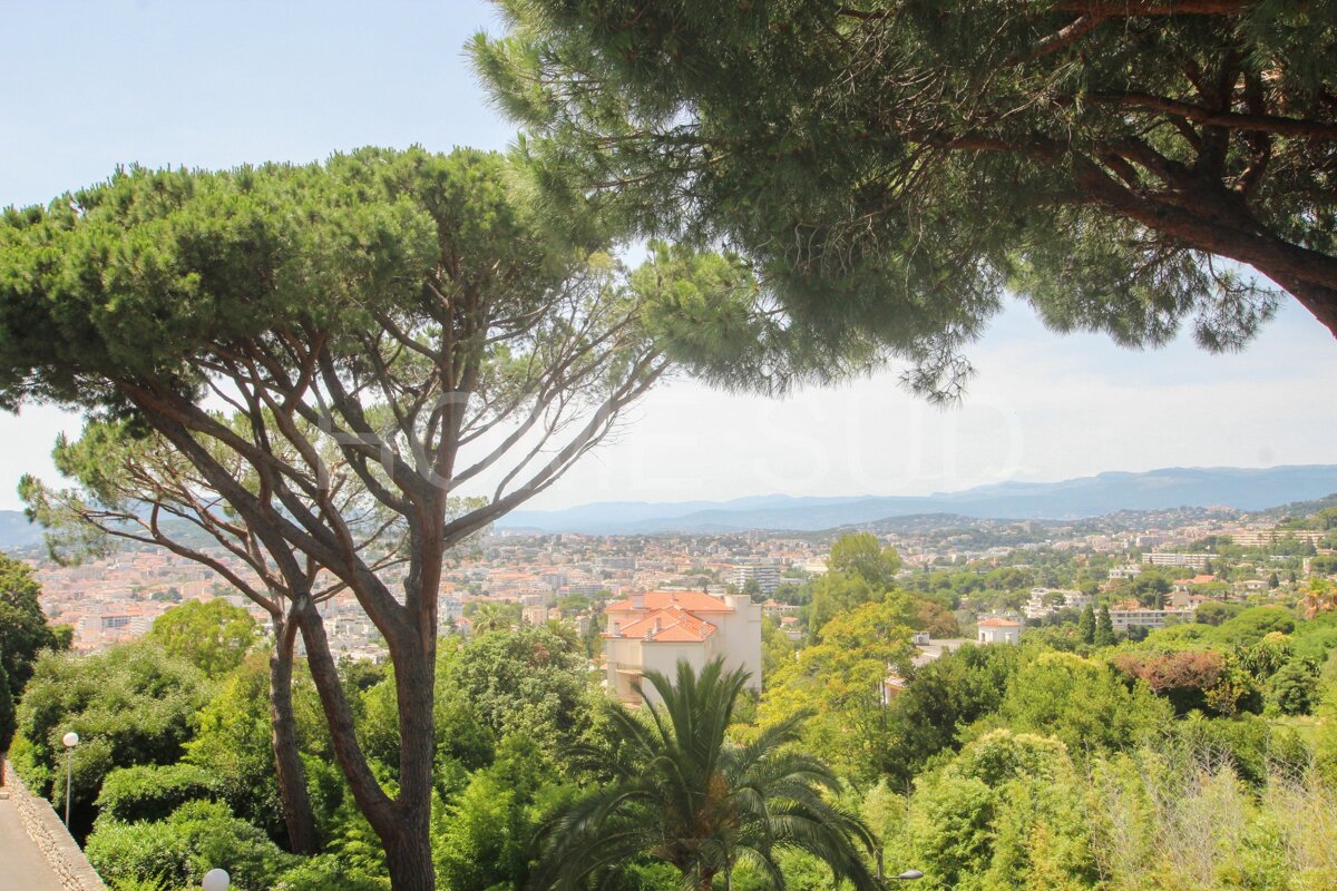A view of a city with trees in the foreground and mountains in the background