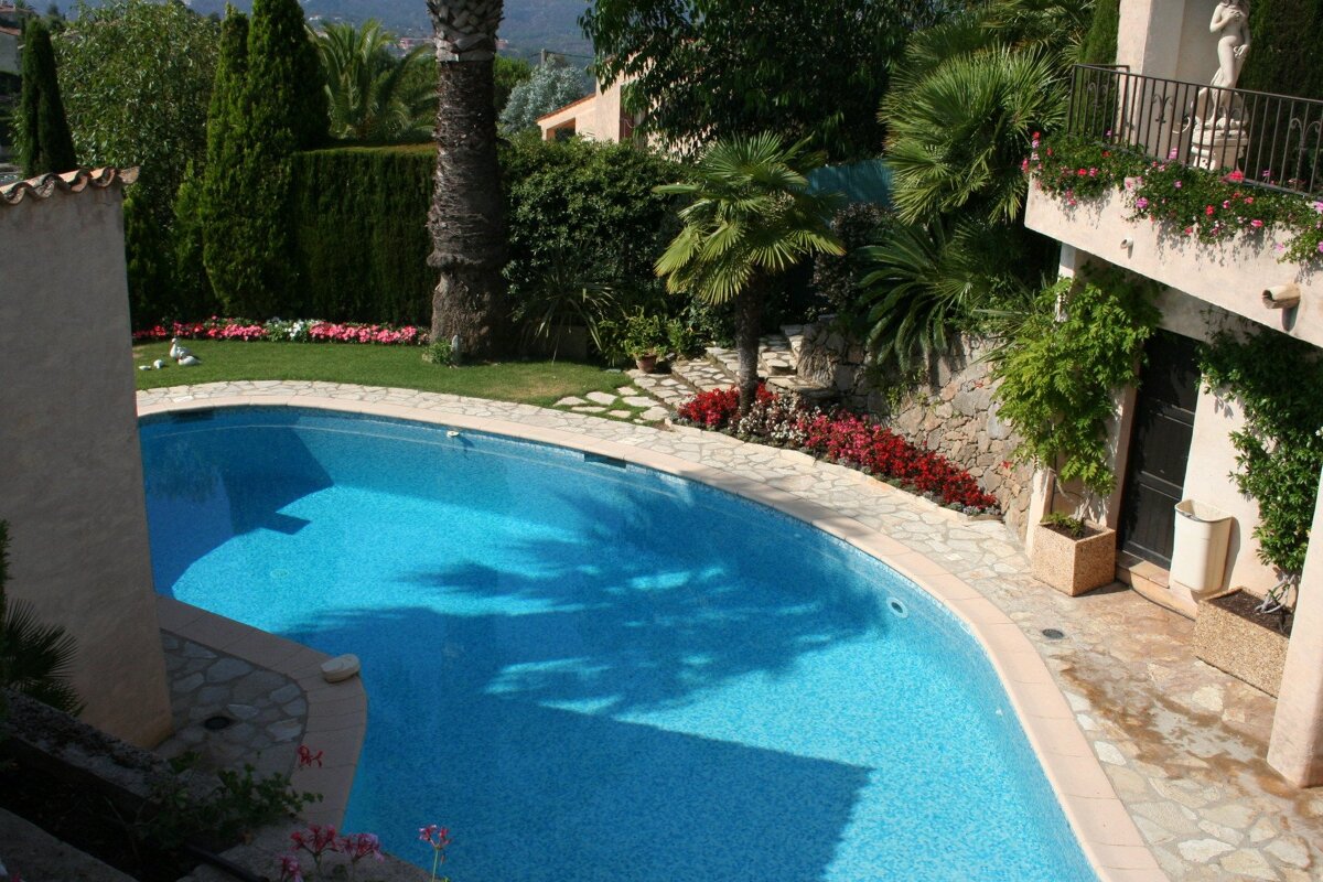 A large swimming pool surrounded by palm trees and flowers
