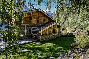 A picture of a house with the word terro on it