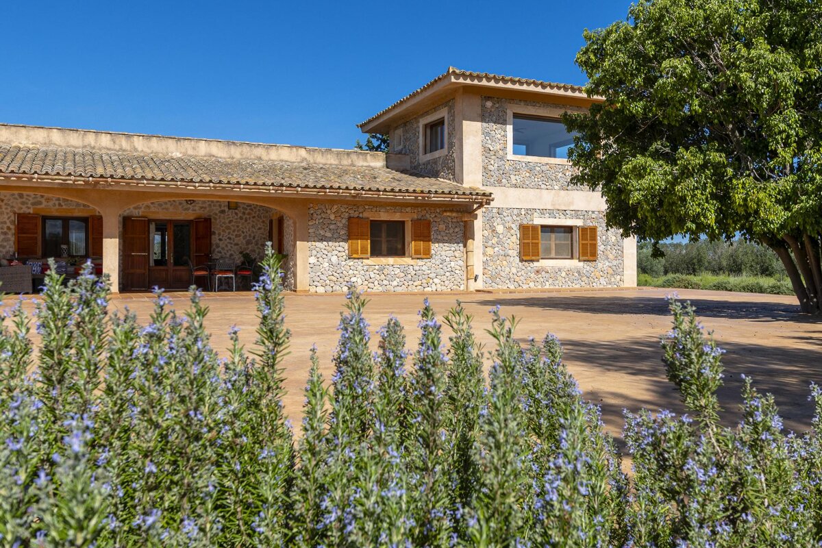 A house with a lot of flowers in front of it