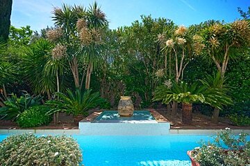 A bright blue swimming pool with lush green tropical plants and a decorative vase in the background under a clear sunny sky.
