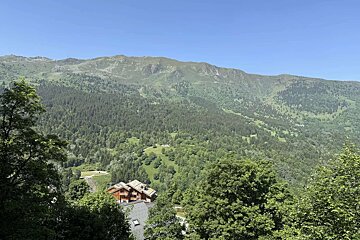 A house in the middle of a forest with mountains in the background