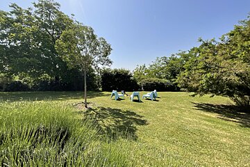A sunny garden with a green lawn, lush trees, and three light blue outdoor chairs arranged on the grass. Lavender plants are in the foreground.