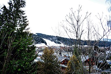 A view of a ski resort with trees in the foreground
