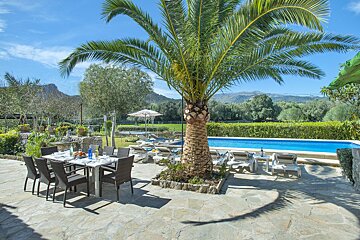 A patio with tables and chairs and a palm tree