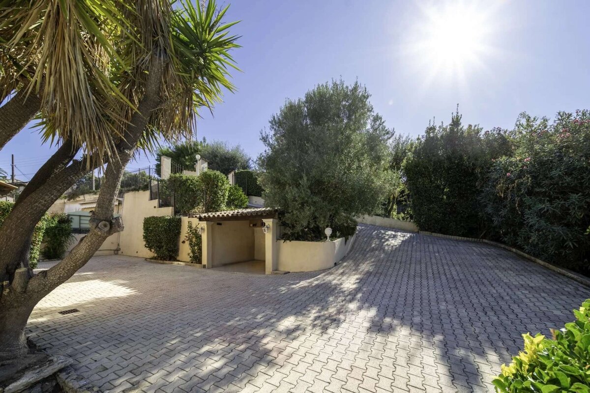 Sunny paved driveway with a covered carport, large palm and olive trees, and lush green landscaping under a bright sky.