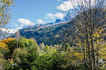 A mountain covered in snow is visible through the trees