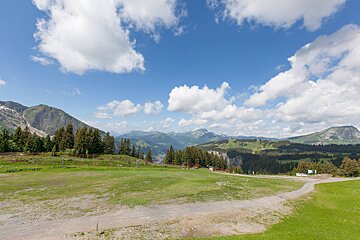 A dirt road going through a grassy field with mountains in the background
