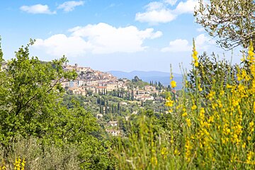 A small town sits on a hill surrounded by trees and flowers