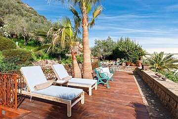 A deck with lounge chairs and a palm tree