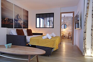 A living room with a couch and a bed