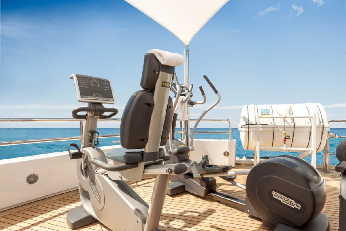 A technogym exercise machine sits on a deck overlooking the ocean