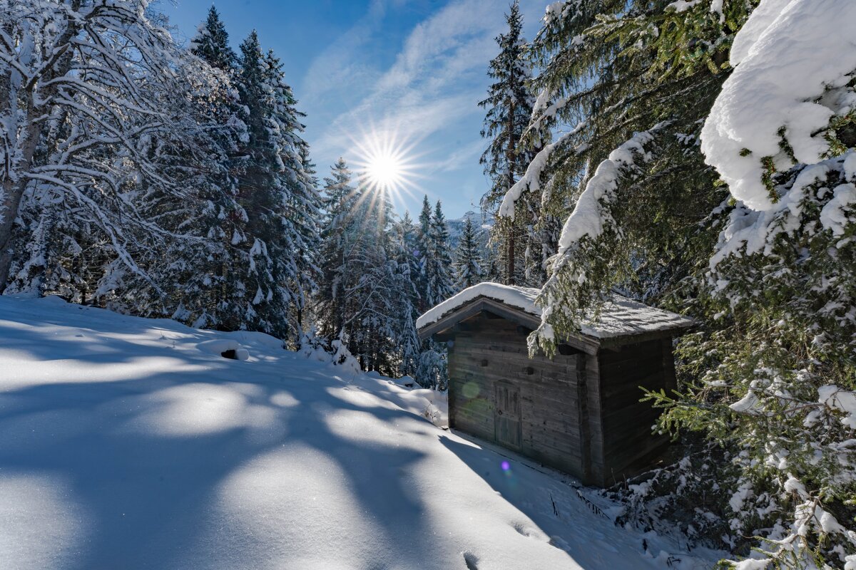 A rustic wooden cabin nestled in a snow-covered pine forest under a bright sunburst in a clear winter sky.