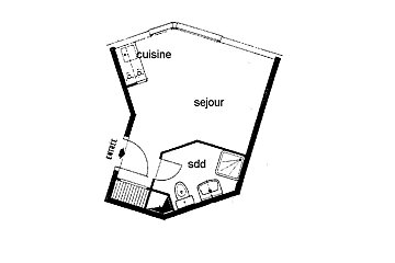 An irregularly shaped floor plan of a studio apartment, featuring an entrance, kitchen, living room (sejour), and shower room (sdd).