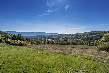 A lush green field with mountains in the background