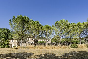 A house with a lot of trees in front of it