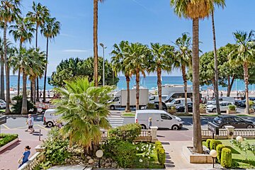 Sunny seaside street lined with lush palm trees, white vans, and a view of the ocean in the background.