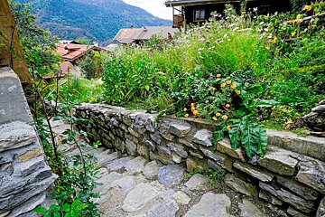 Stone steps wind past a vibrant garden with colorful flowers, traditional houses, and distant mountains in a serene village setting.