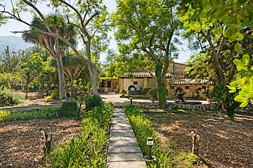 A stone path leads to a house surrounded by trees