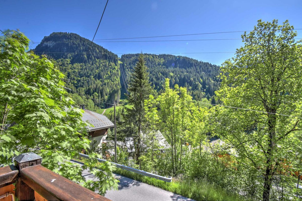 A view of a mountain from a balcony with trees in the foreground