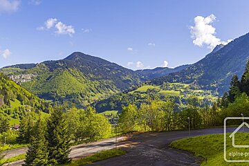 A picture of a mountain valley taken by alpine-pro