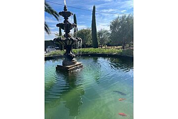 A fountain in a pond with fish in it