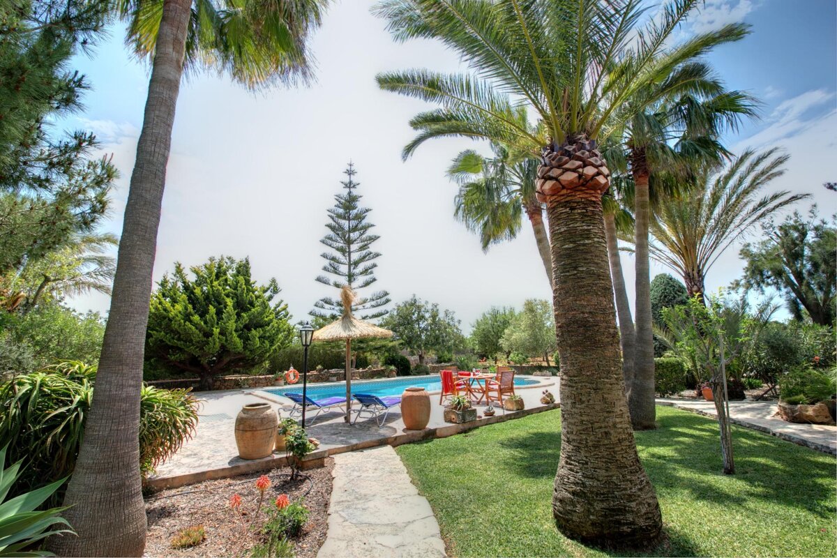 A lush green garden with palm trees and a swimming pool