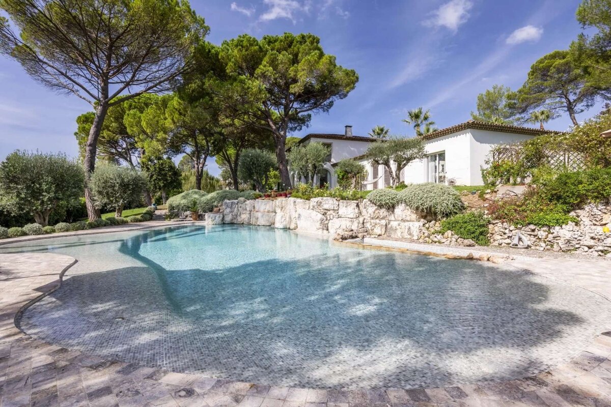 A beautiful white villa with a large, shimmering pool, nestled among tall pines and olive trees under a bright blue sky.