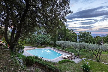 A large swimming pool surrounded by trees and a wooden deck