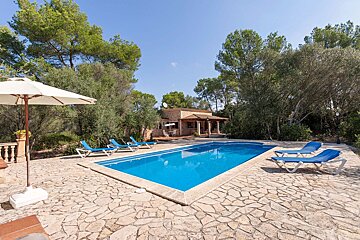 A sunny villa with a sparkling blue swimming pool, stone patio, sun loungers, and umbrella, nestled amongst lush green trees under a clear sky.