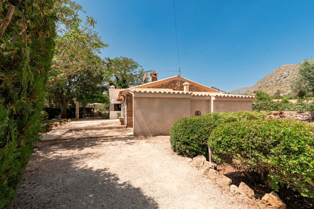 A house with a lot of bushes around it
