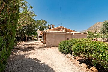 A house with a lot of bushes around it