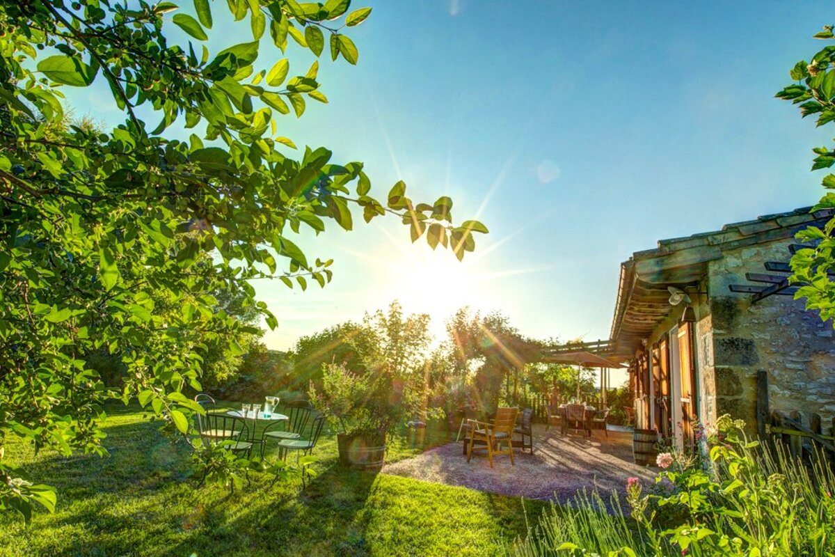 The sun is shining through the trees in the backyard