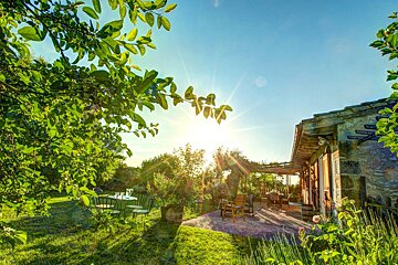 The sun is shining through the trees in the backyard