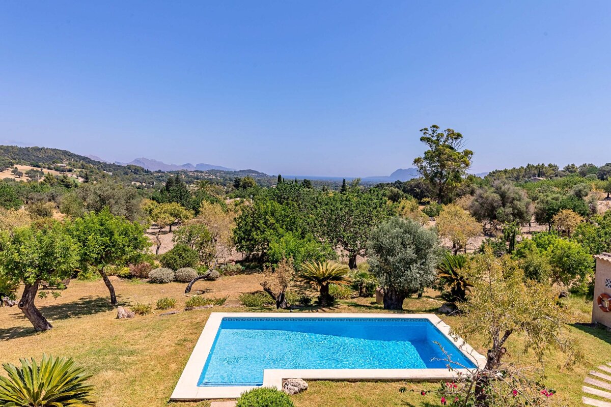 A large swimming pool surrounded by trees and bushes with mountains in the background
