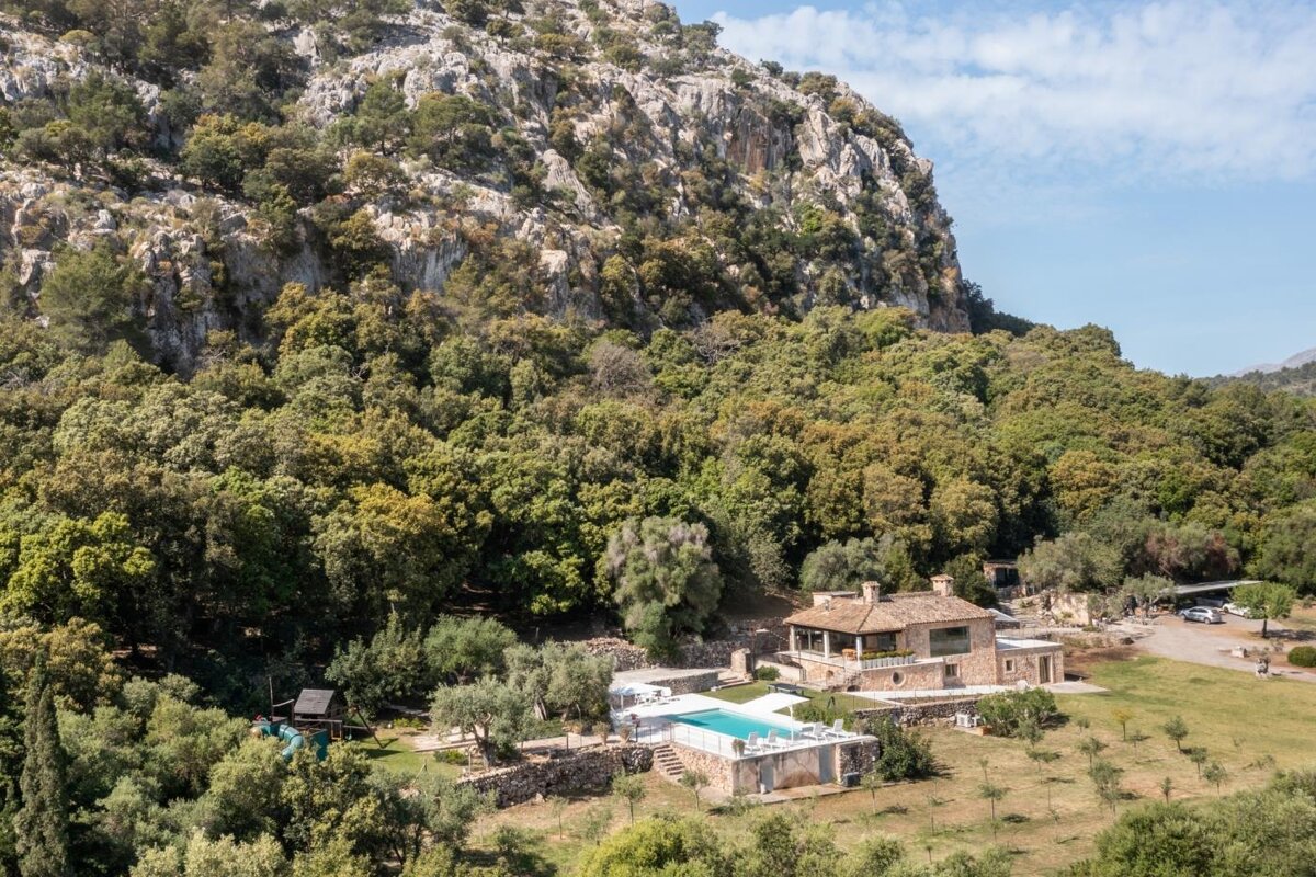 A large house sits in the middle of a lush green forest