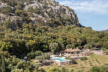 A large house sits in the middle of a lush green forest