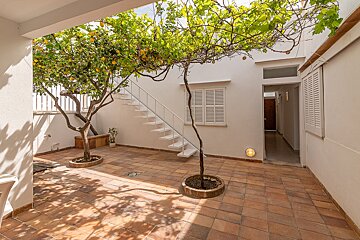 A courtyard with a tree and stairs in the background
