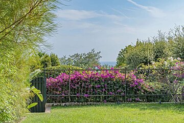 A lush green garden with a black metal fence covered in vibrant pink bougainvillea, offering a glimpse of the blue sea and sky in the distance.