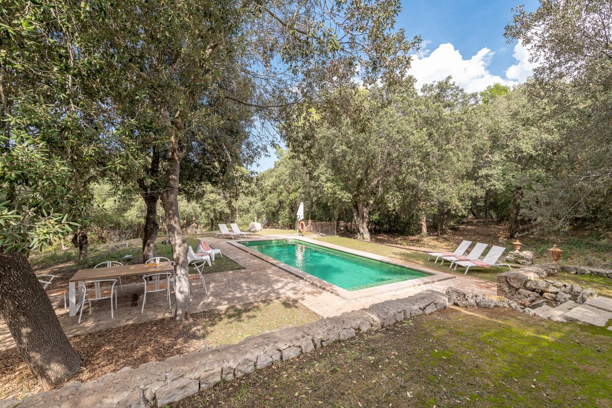 A large swimming pool surrounded by trees and chairs