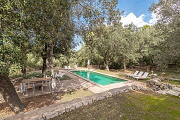 A large swimming pool surrounded by trees and chairs
