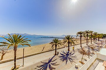 A beach with palm trees and mountains in the background