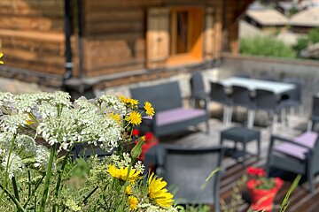 Yellow and white flowers in front of a wooden house