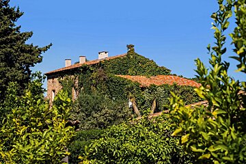 Ivy-covered stone house with a red tile roof, surrounded by green trees under a clear blue sky.
