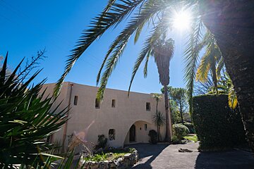 A house with a palm tree in front of it